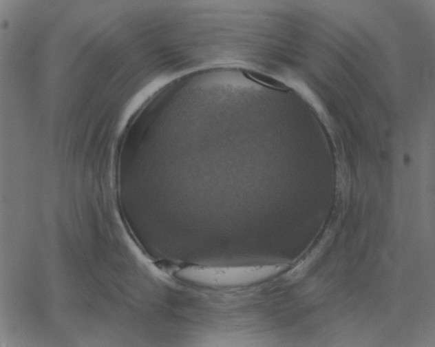 X0000067840910200604271616