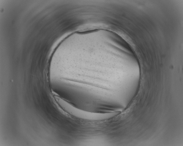 X0000067840912200604271616