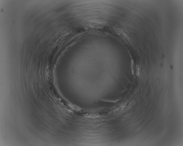 X0000067840915200604271616