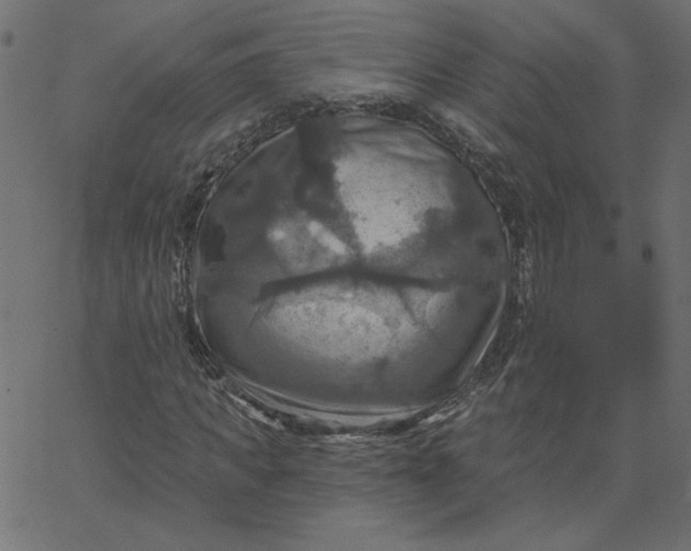 X0000067840917200604271616