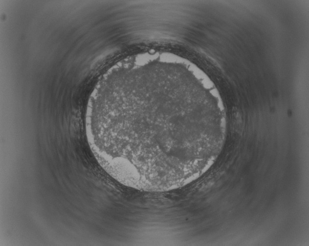 X0000067840918200604271616