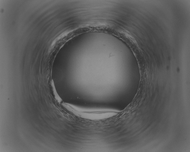 X0000067840920200604271616