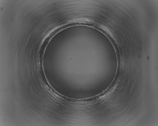 X0000067840923200604271616