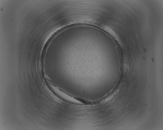 X0000067840924200604271616