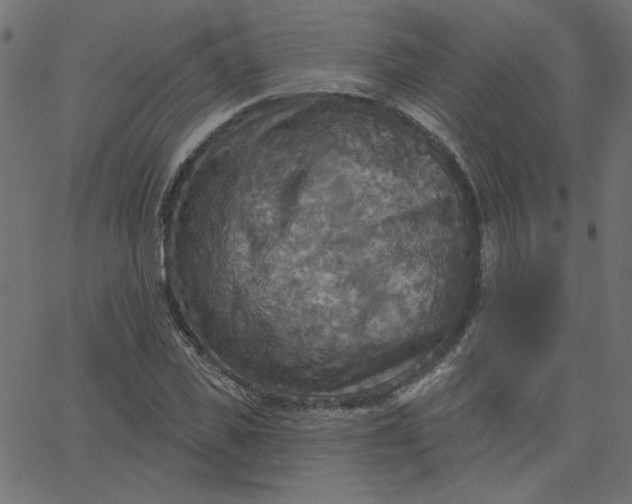 X0000067840925200604271616