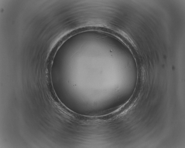 X0000067840926200604271616