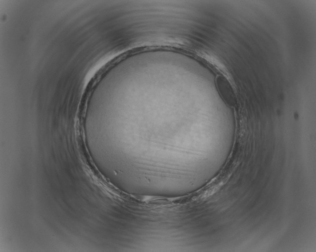 X0000067840928200604271616