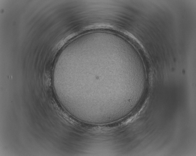 X0000067840929200604271616