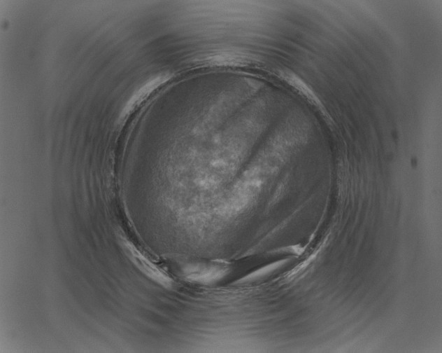 X0000067840930200604271616