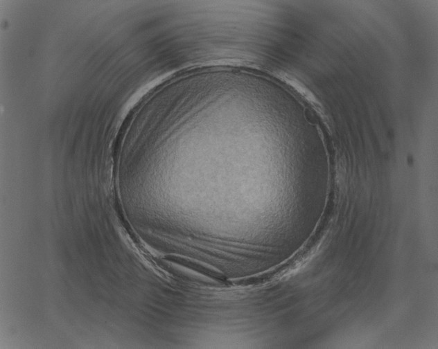 X0000067840933200604271616