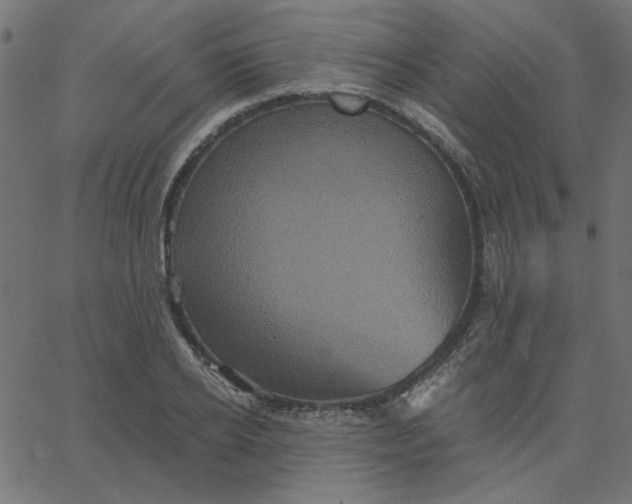 X0000067840934200604271616