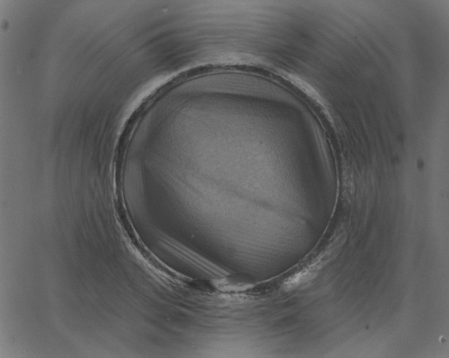 X0000067840935200604271616