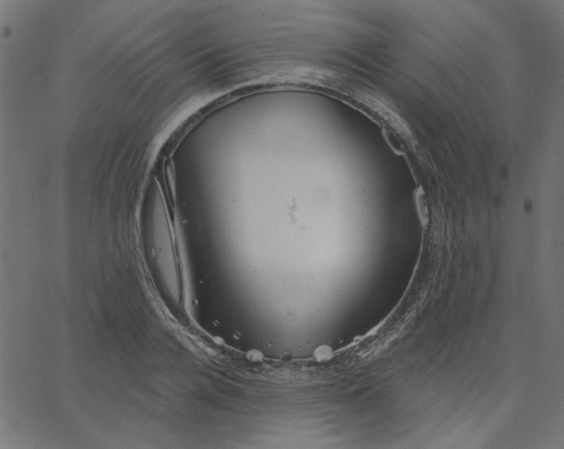 X0000067840936200604271616