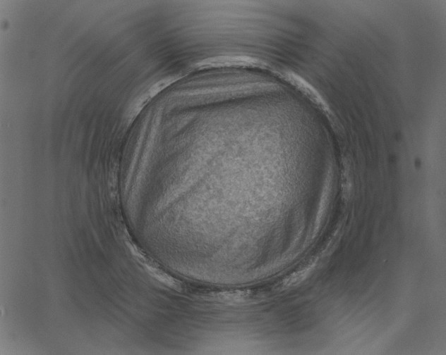 X0000067840937200604271616