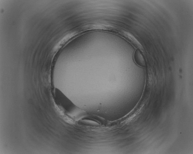 X0000067840938200604271616