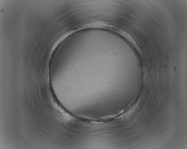 X0000067840939200604271616