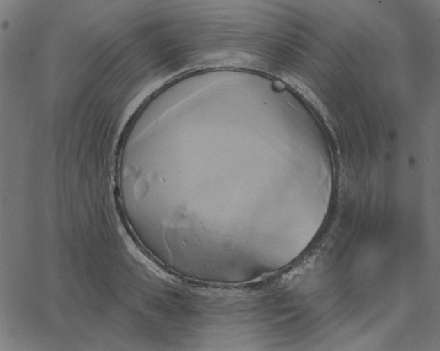 X0000067840941200604271616