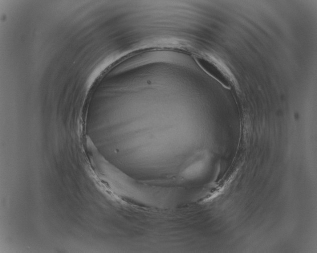 X0000067840944200604271616