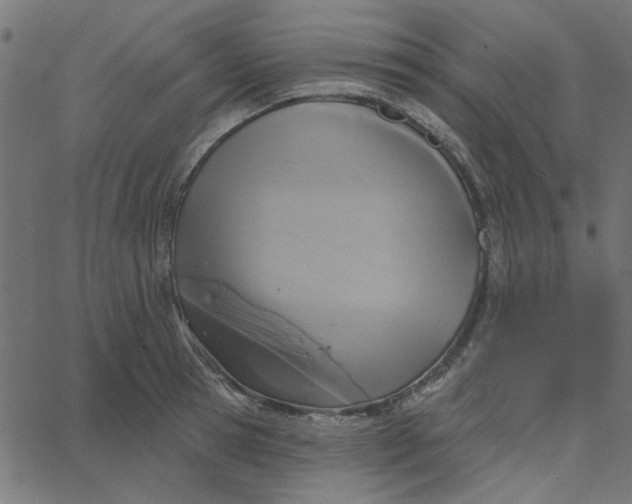 X0000067840945200604271616