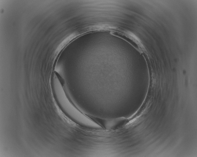 X0000067840946200604271616