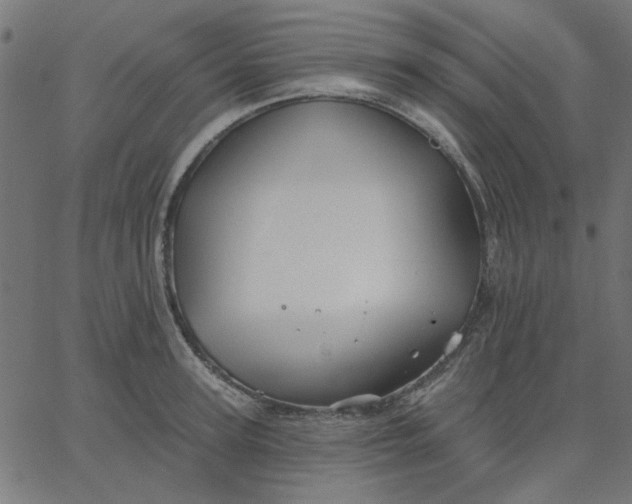 X0000067840947200604271616