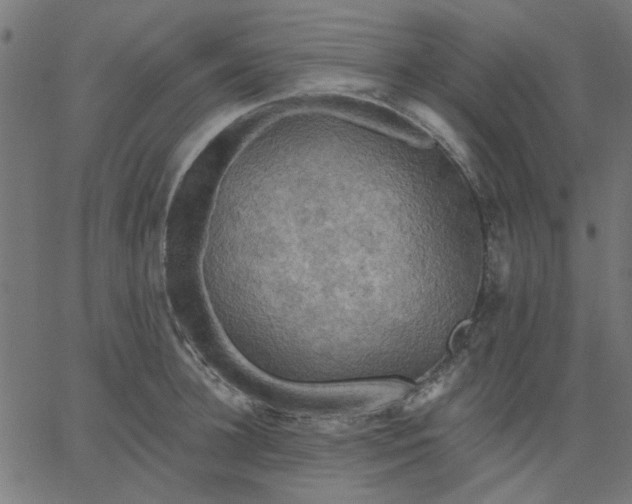 X0000067840948200604271616