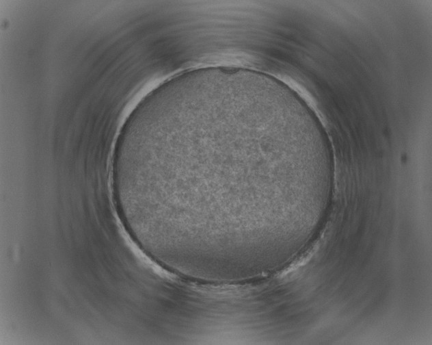 X0000067840949200604271616