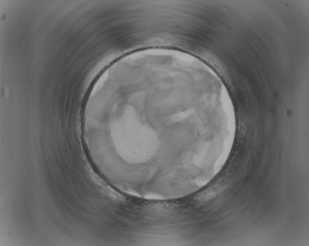 X0000067840950200604271616