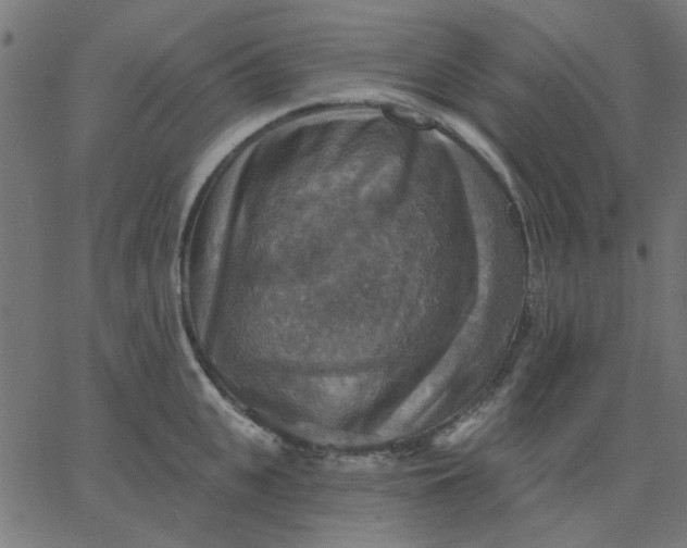 X0000067840951200604271616