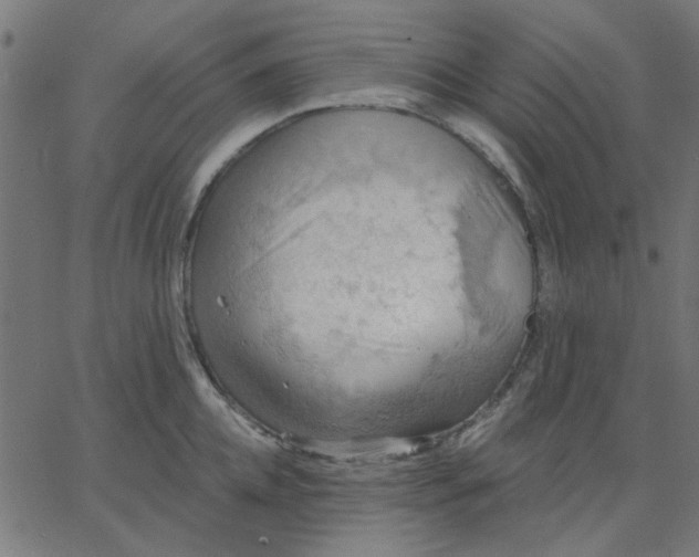 X0000067840952200604271616