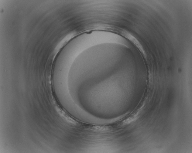 X0000067840954200604271616