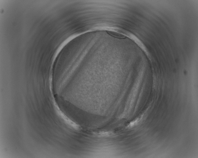 X0000067840955200604271616