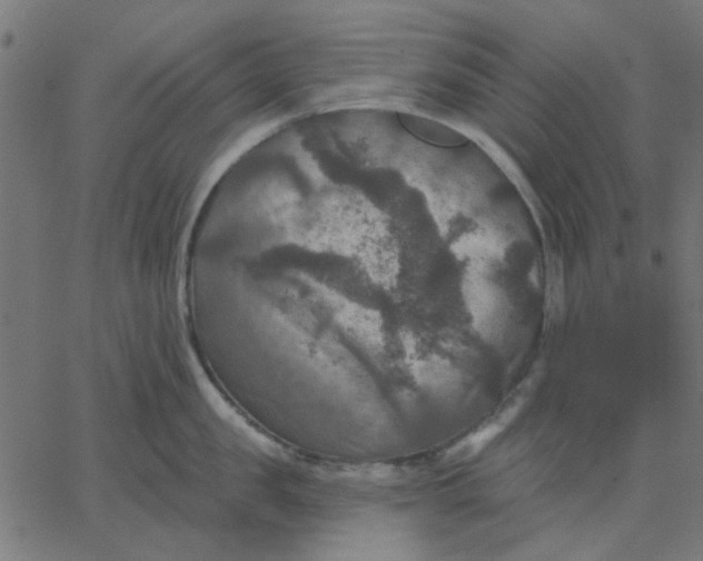 X0000067840957200604271616