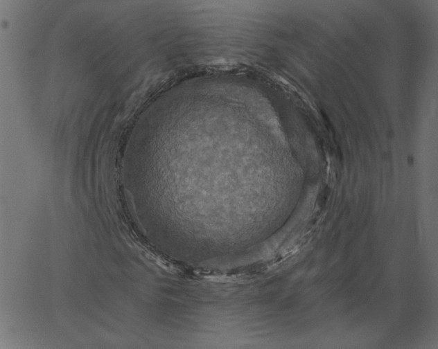 X0000067840961200604271616