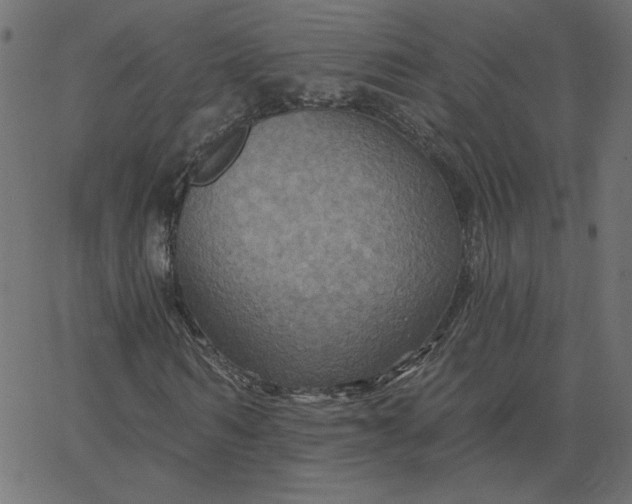 X0000067840962200604271615