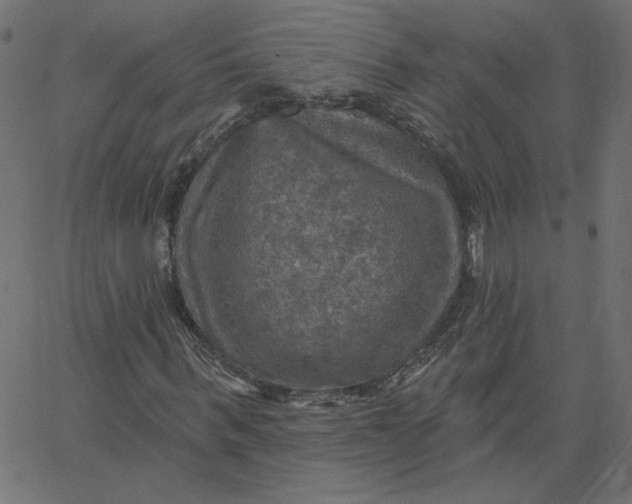 X0000067840963200604271615