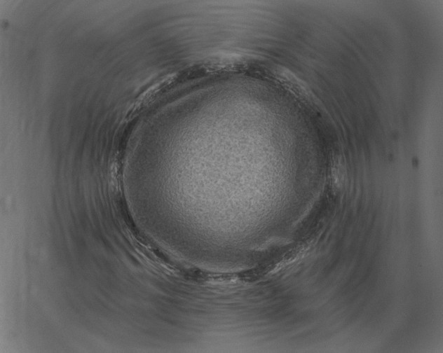 X0000067840964200604271615