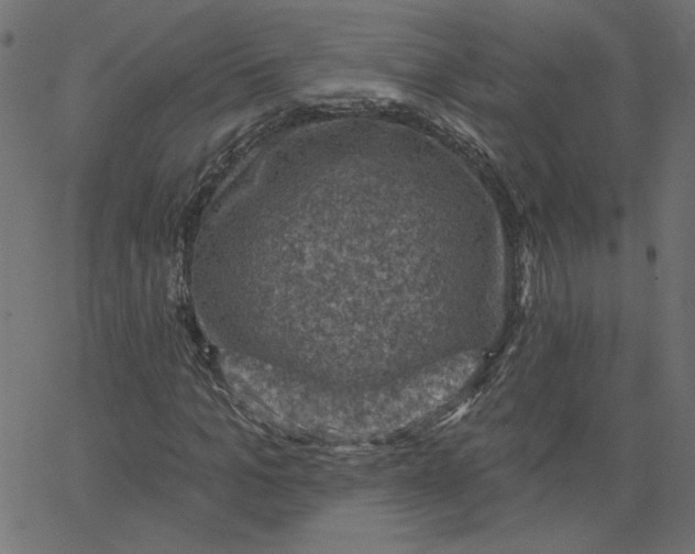 X0000067840965200604271615