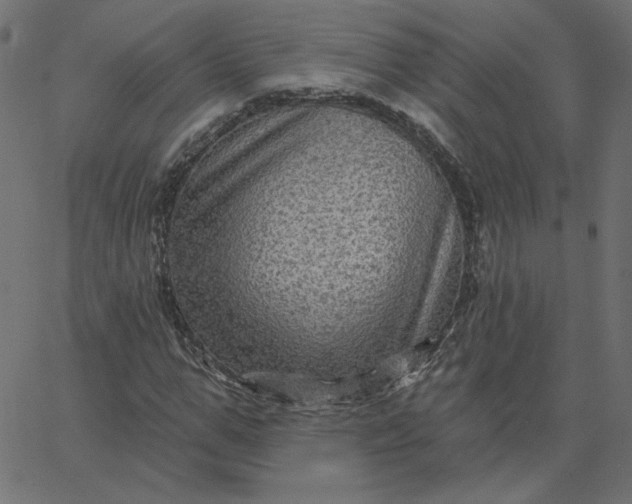 X0000067840967200604271615