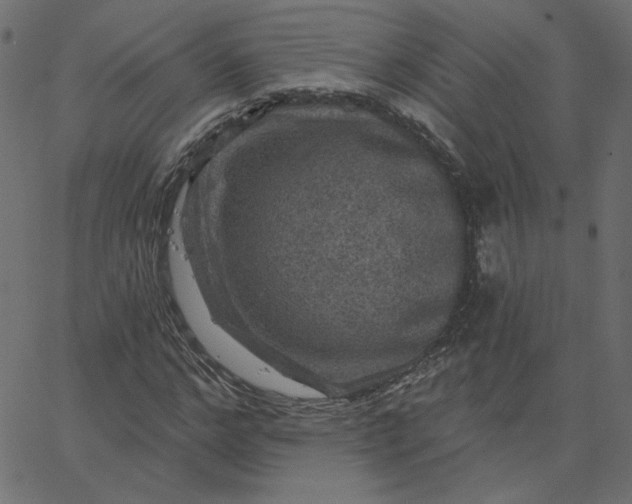 X0000067840968200604271615