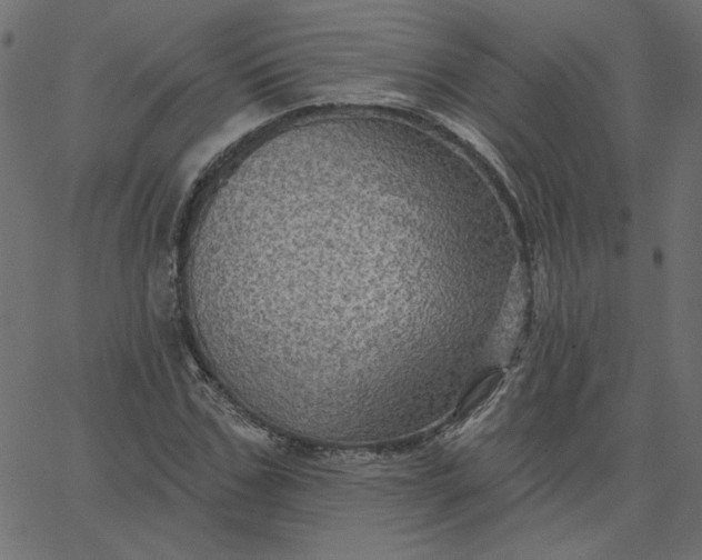 X0000067840971200604271615