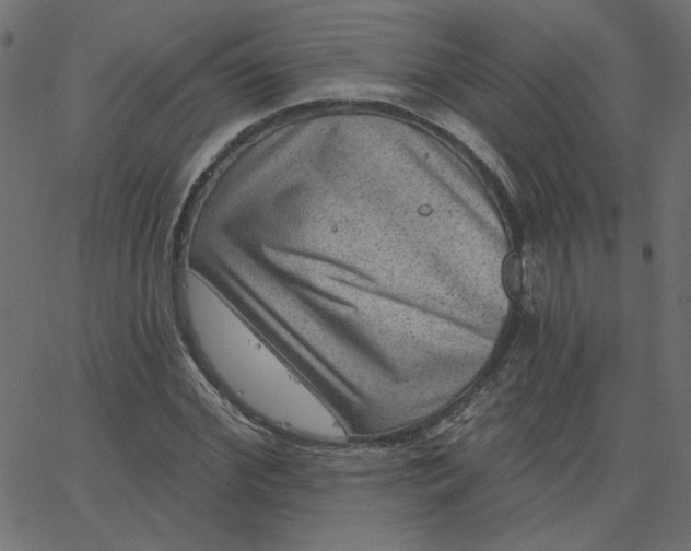 X0000067840972200604271615