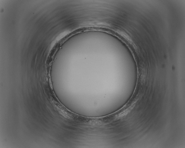 X0000067840974200604271615