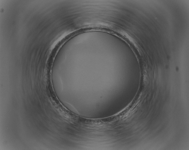 X0000067840975200604271615