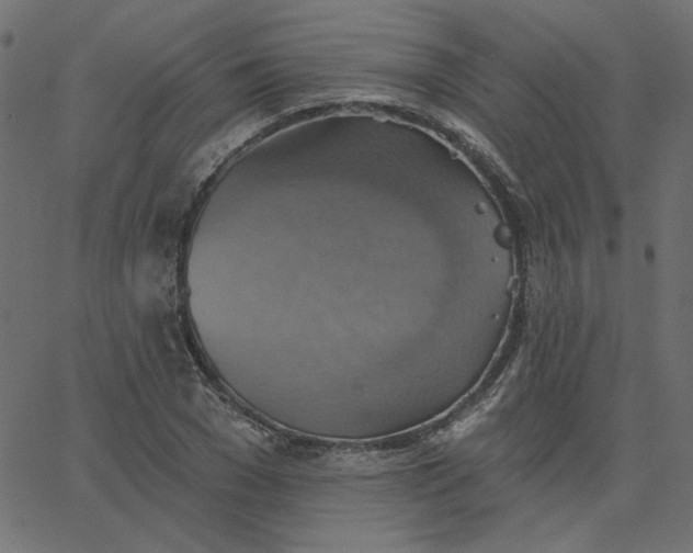 X0000067840977200604271615