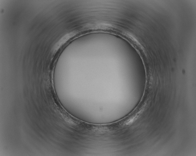 X0000067840978200604271615