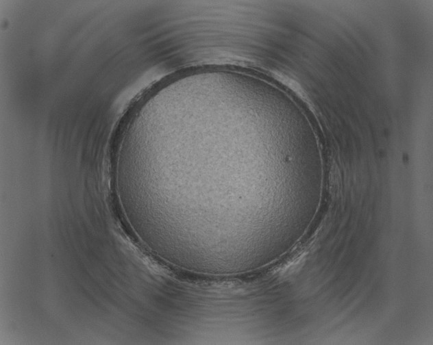 X0000067840979200604271615