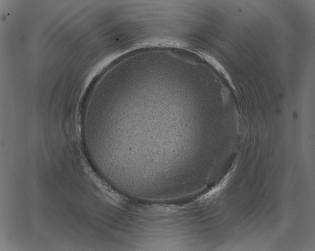 X0000067840981200604271615