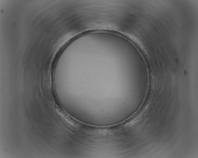 X0000067840982200604271615