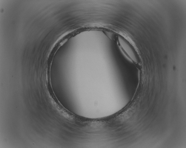 X0000067840984200604271615